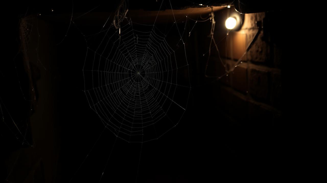 Toile d'araignée dans un coin sombre de sous-sol