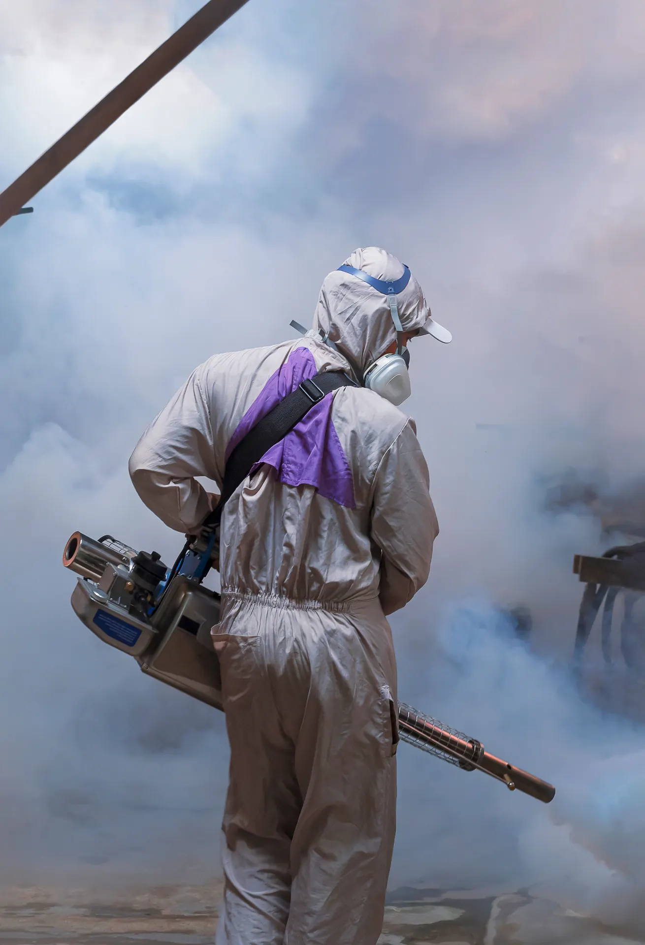 🛡️ Traitement préventif annuel